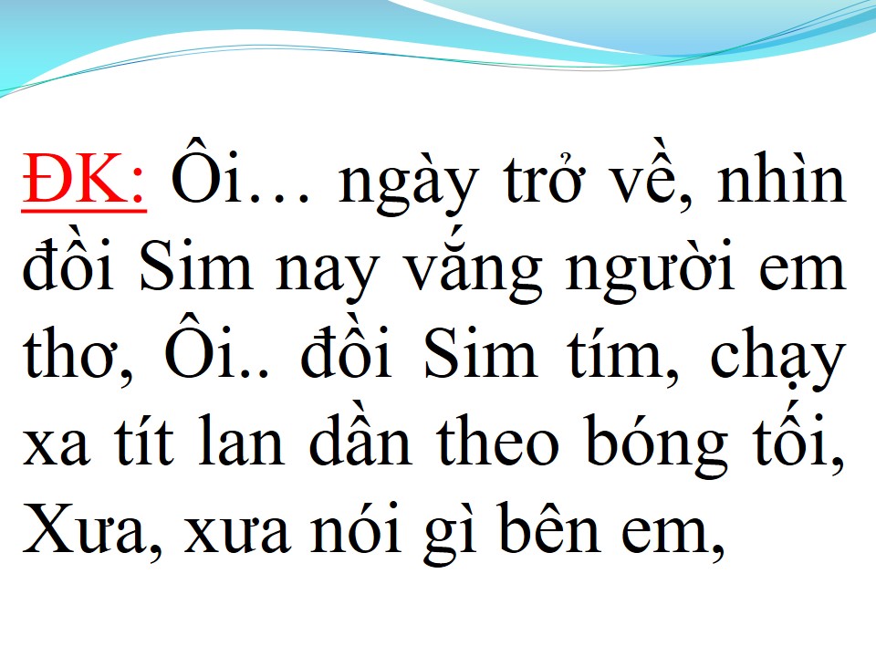 Lời bài hát NHỮNG ĐỒI HOA SIM