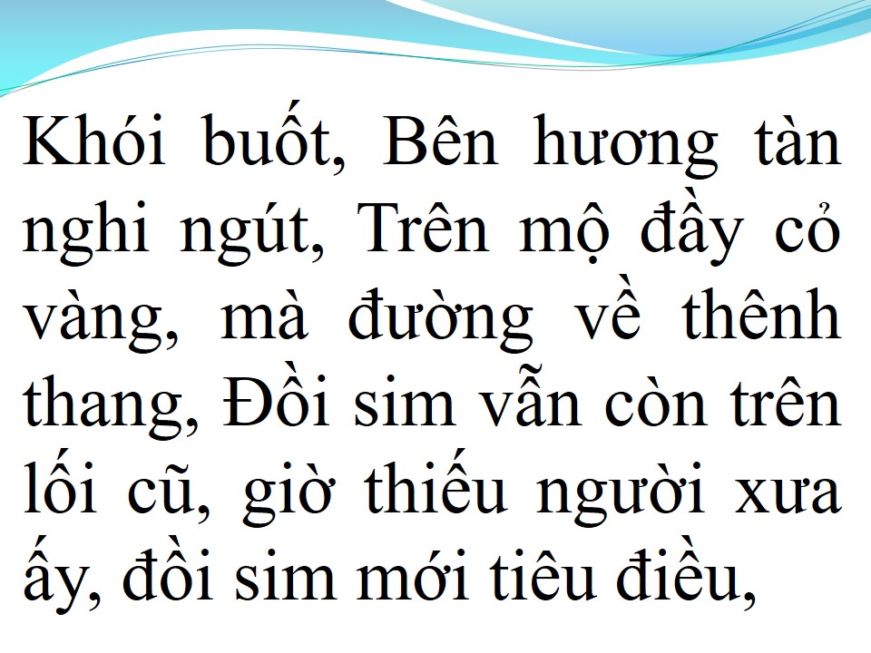 Lời bài hát NHỮNG ĐỒI HOA SIM
