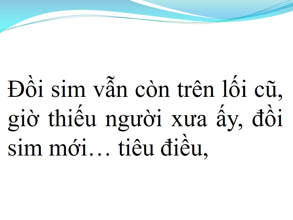 Lời bài hát NHỮNG ĐỒI HOA SIM