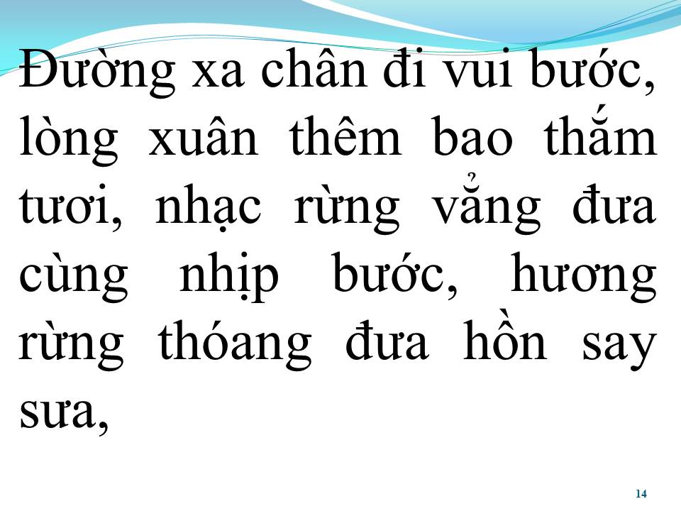Lời bài hát NHẠC RỪNG