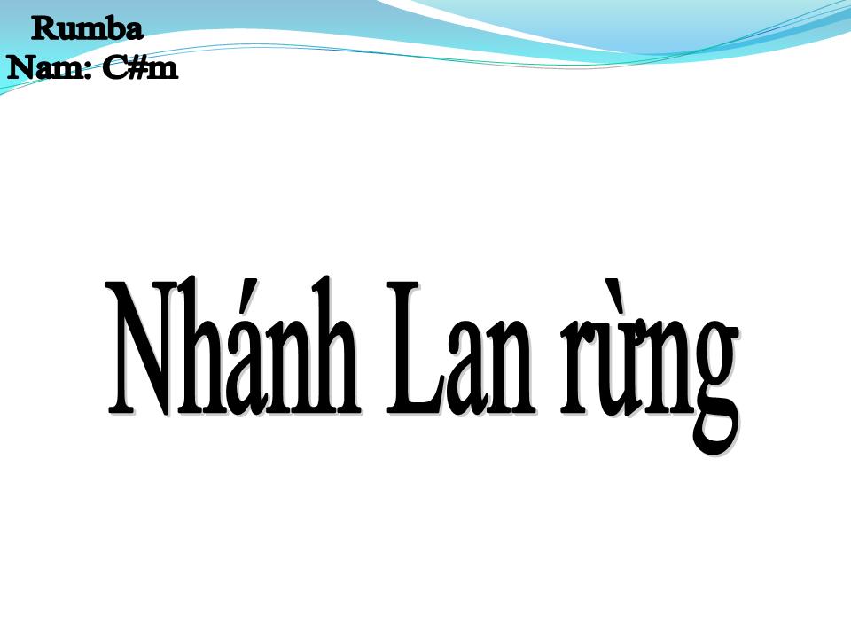 Lời bài hát NHÁNH LAN RỪNG