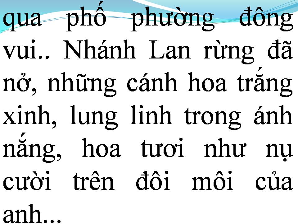 Lời bài hát NHÁNH LAN RỪNG