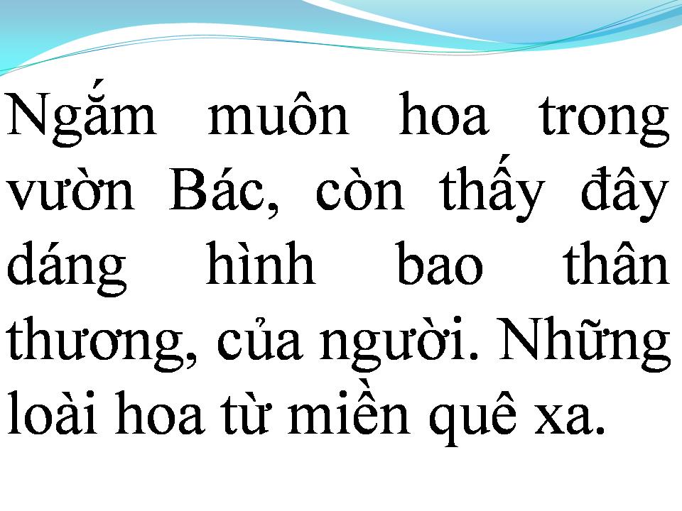 Lời bài hát NHỮNG BÔNG HOA TRONG VƯỜN BÁC