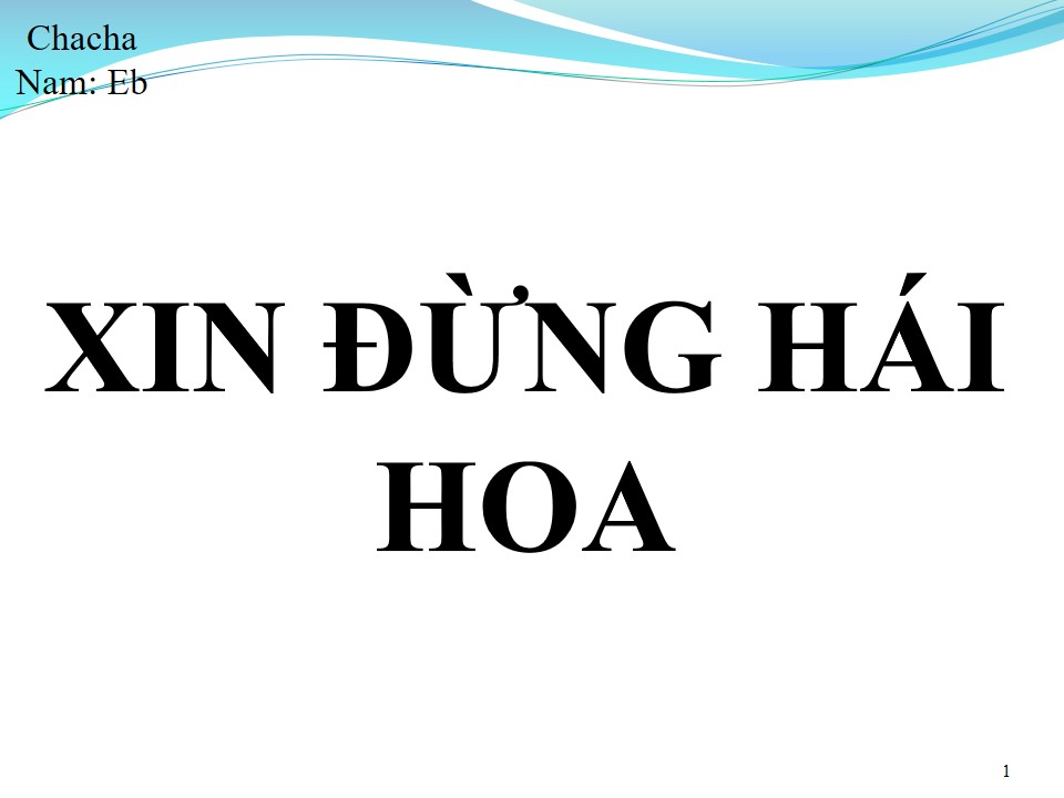 Lời bài hát XIN ĐỪNG HÁI HOA