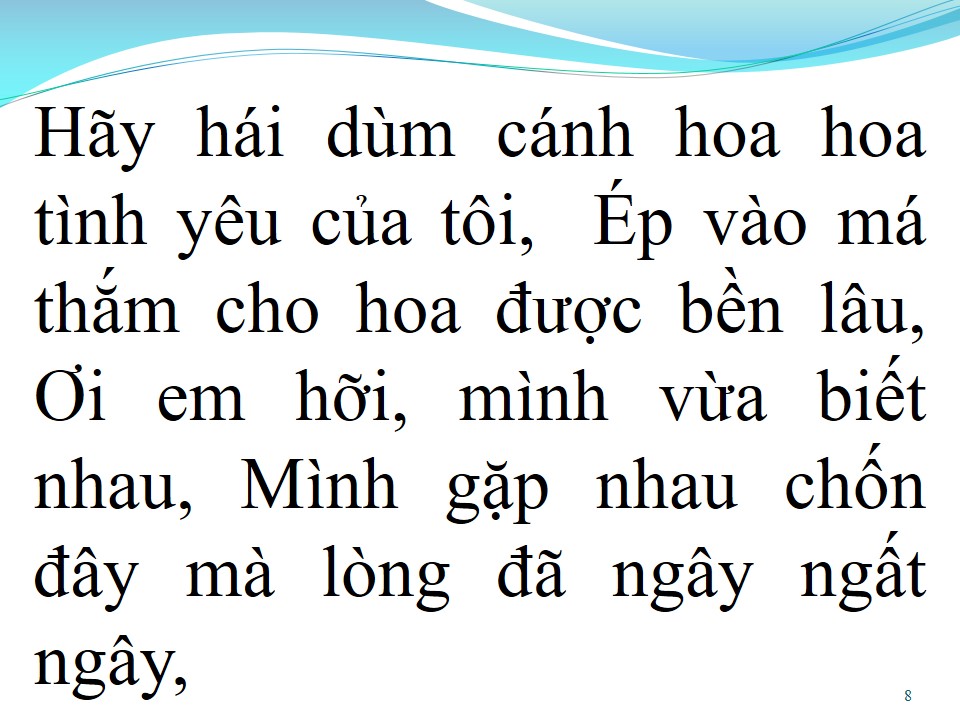 Lời bài hát XIN ĐỪNG HÁI HOA