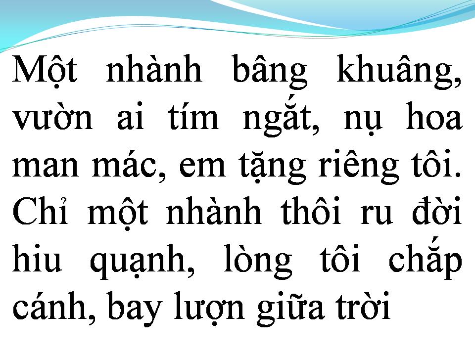 Lời bài hát XIN ĐỪNG QUÊN TÔI (FORGET ME NOT)