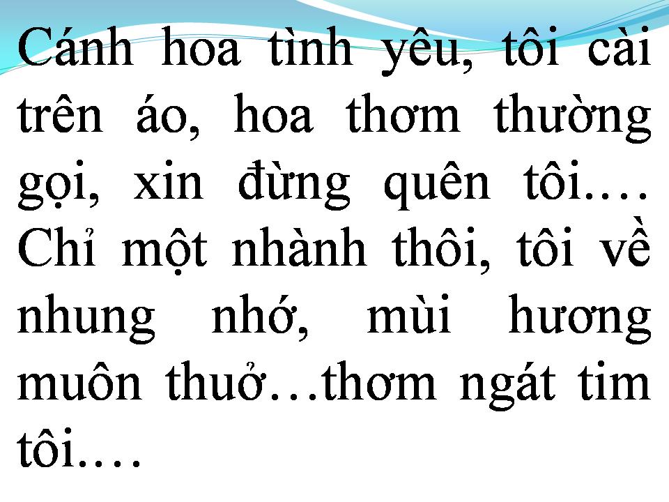 Lời bài hát XIN ĐỪNG QUÊN TÔI (FORGET ME NOT)