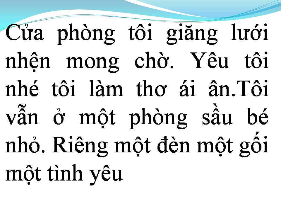 Lời bài hát XIN HÃY YÊU TÔI