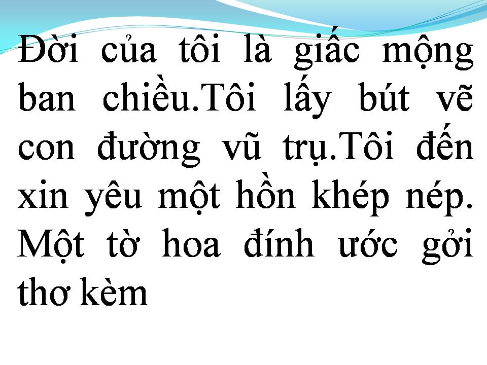 Lời bài hát XIN HÃY YÊU TÔI