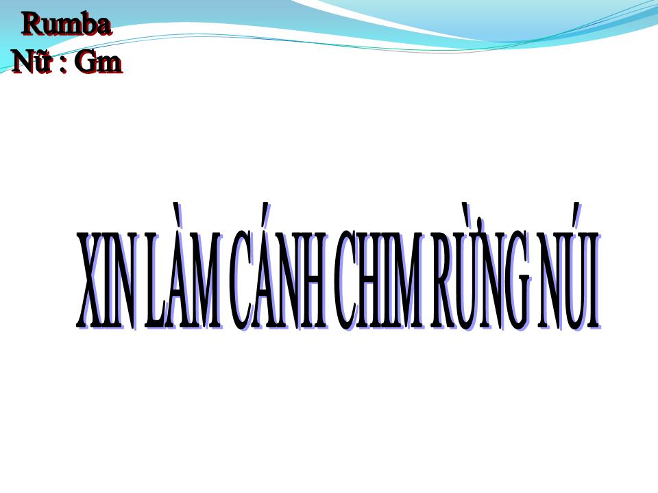 Lời bài hát XIN LÀM CÁNH CHIM RỪNG NÚI