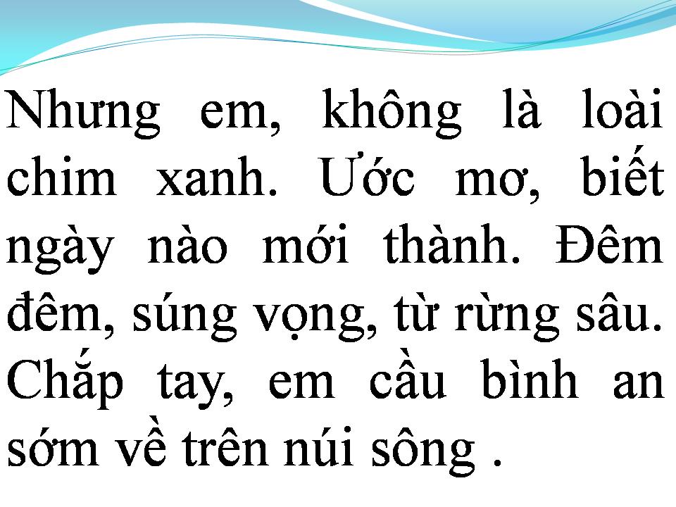 Lời bài hát XIN LÀM CÁNH CHIM RỪNG NÚI