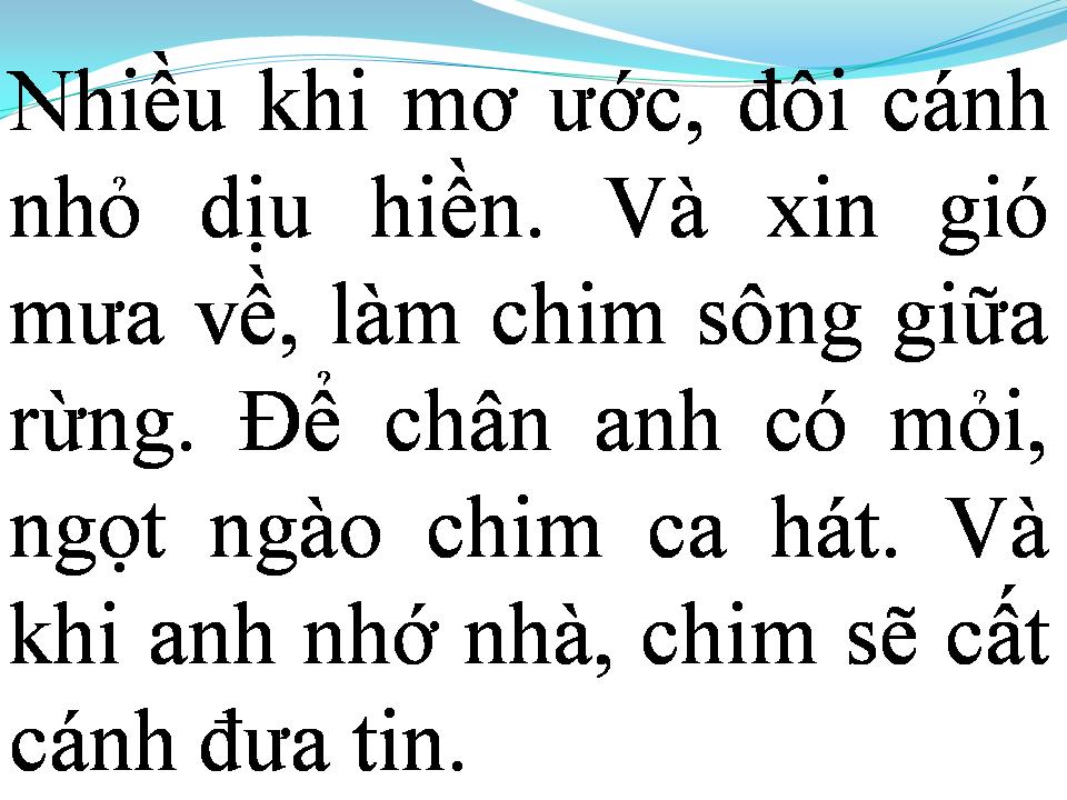Lời bài hát XIN LÀM CÁNH CHIM RỪNG NÚI