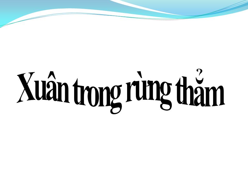 Lời bài hát XUÂN TRONG RỪNG THẲM