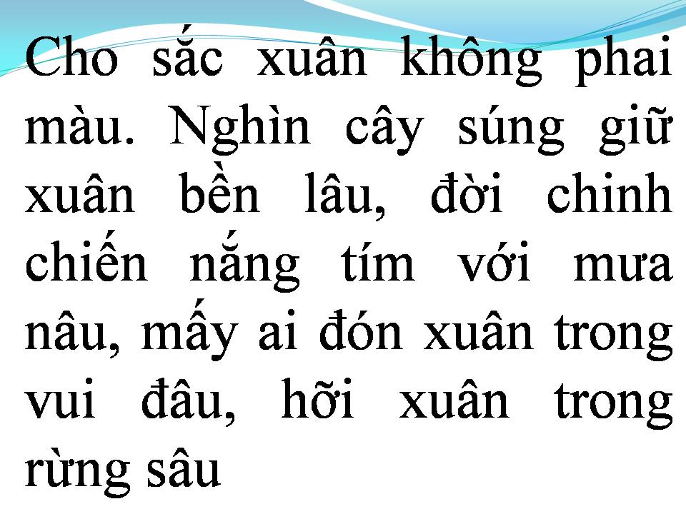Lời bài hát XUÂN TRONG RỪNG THẲM