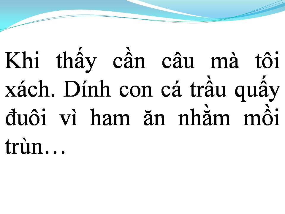 Lời bài hát VỀ QUÊ CẮM CÂU