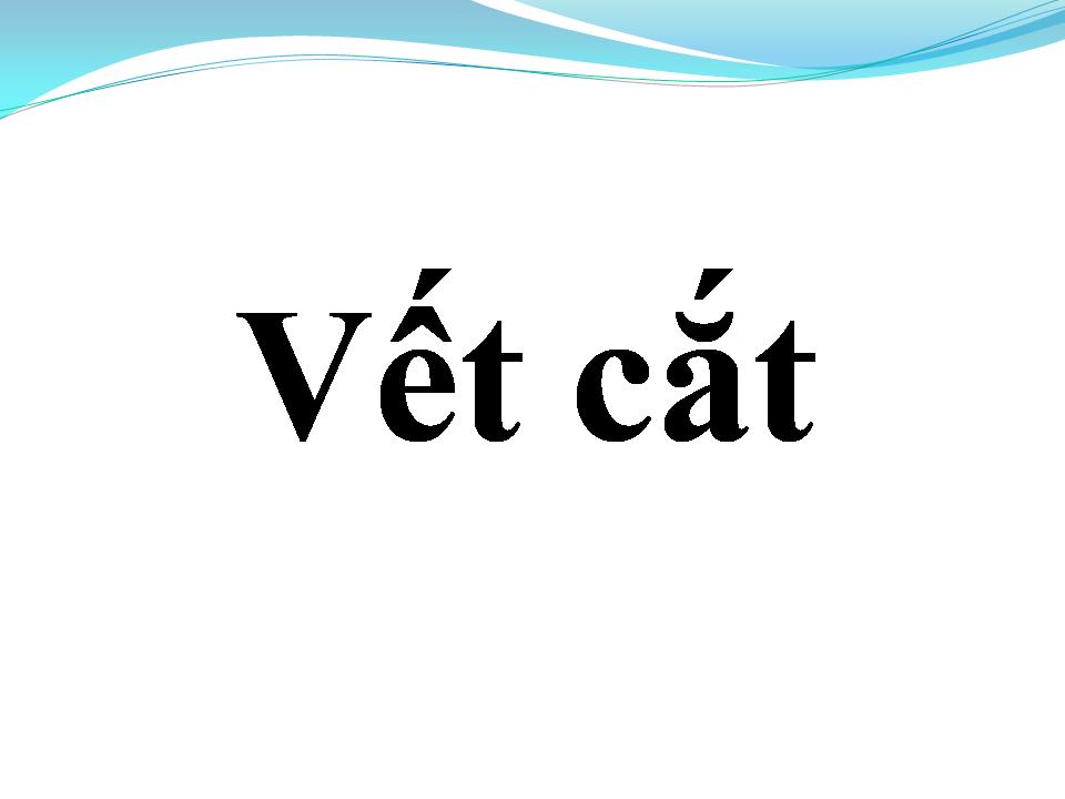 Lời bài hát VẾT CẮT