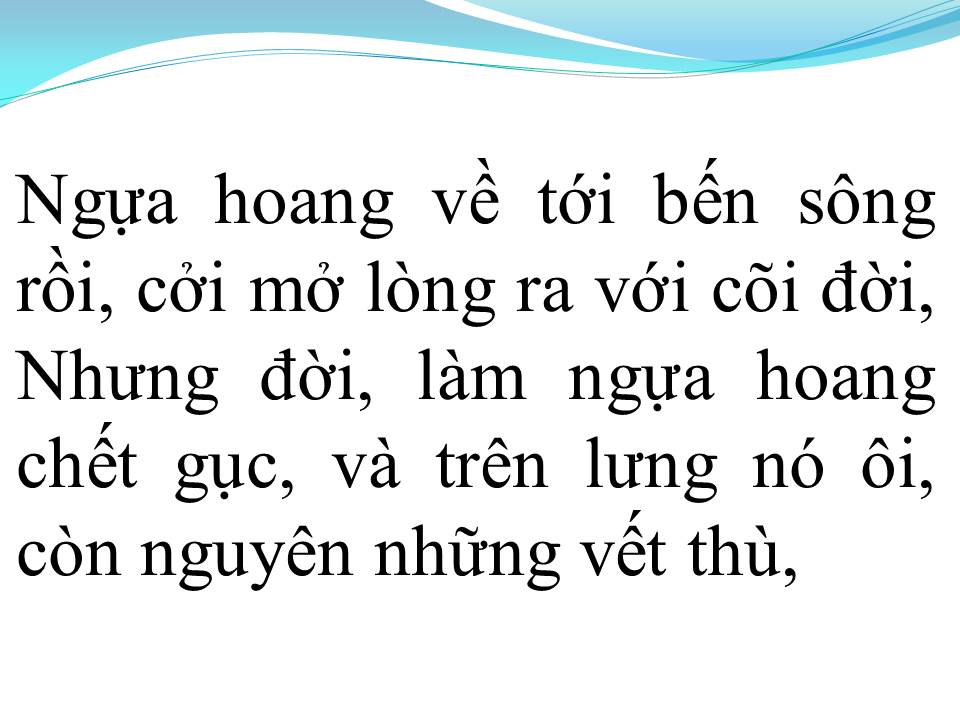Lời bài hát VẾT THÙ TRÊN LƯNG NGỰA HOANG