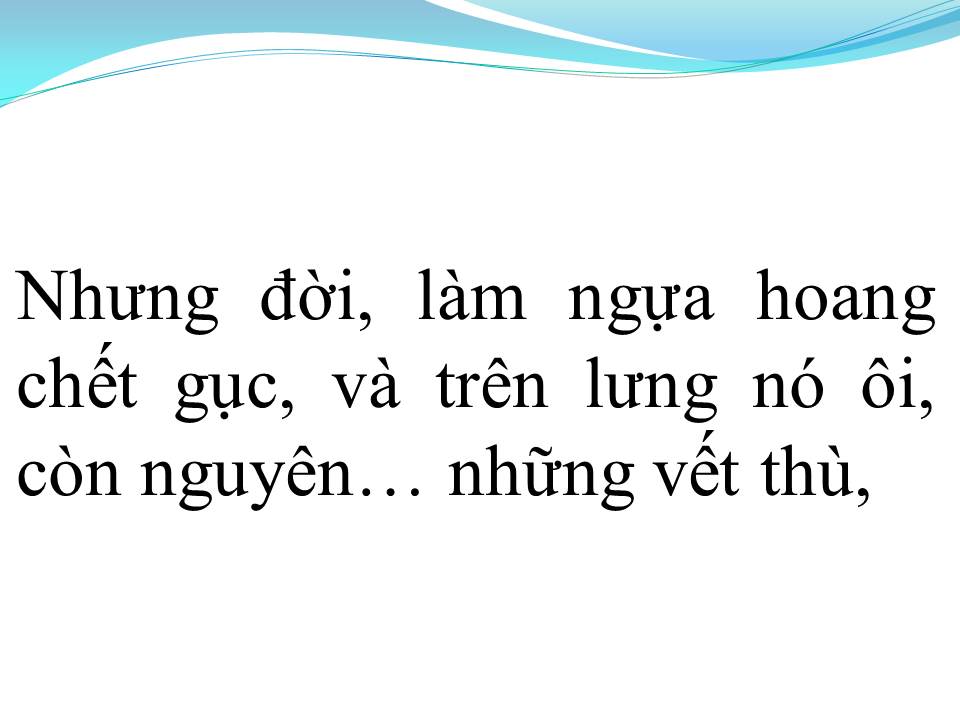 Lời bài hát VẾT THÙ TRÊN LƯNG NGỰA HOANG