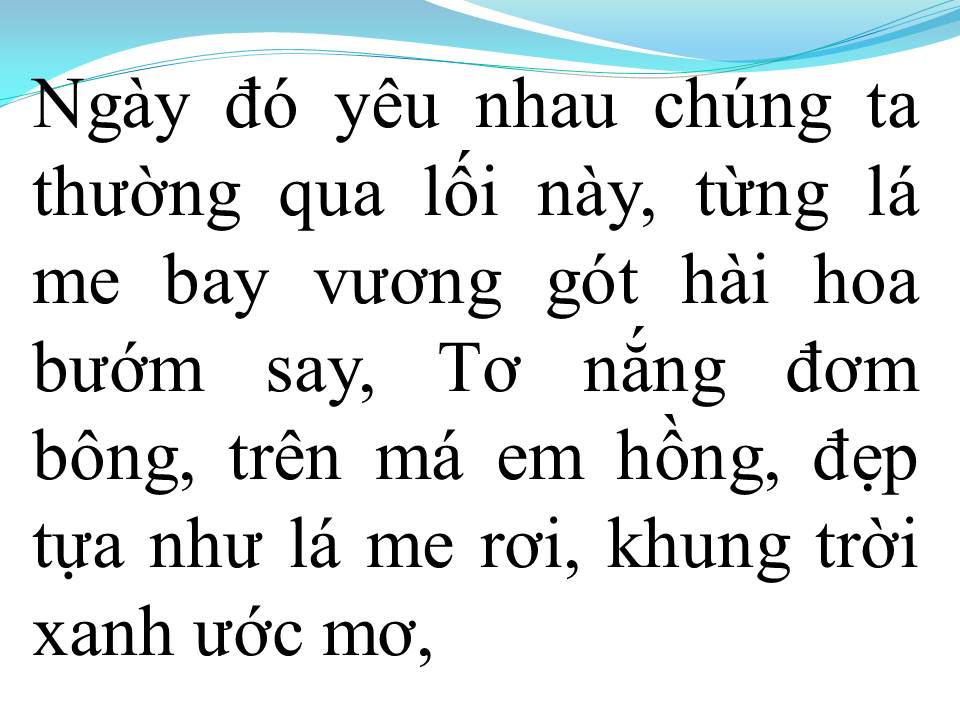 Lời bài hát VÙNG LÁ ME BAY