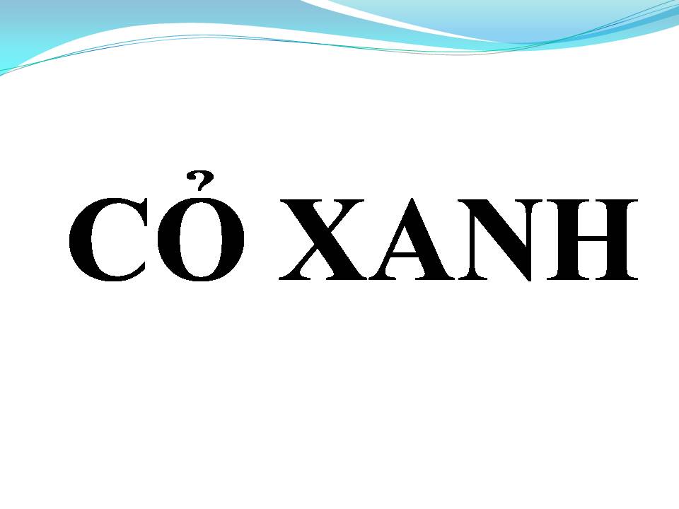 Lời bài hát CỎ XANH