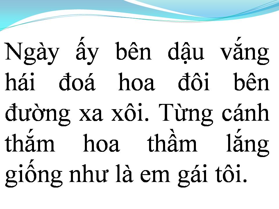Lời bài hát ĐÓA HOA ĐÔI