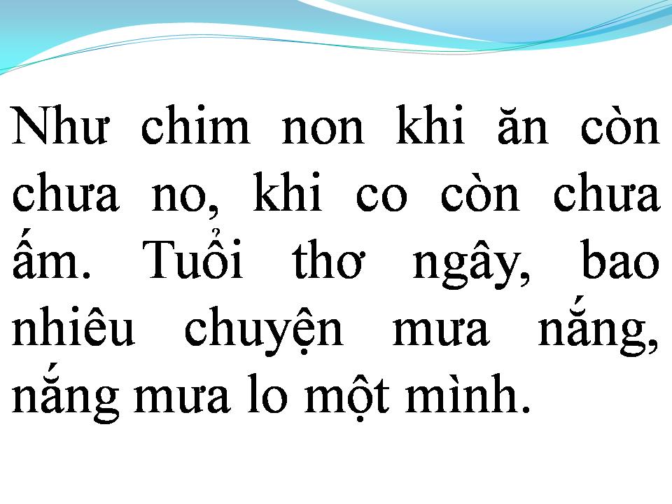 Lời bài hát ĐỒI THÔNG HAI MỘ