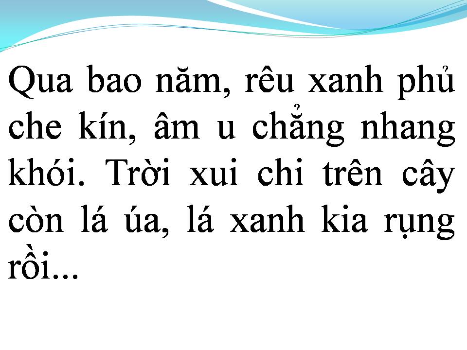 Lời bài hát ĐỒI THÔNG HAI MỘ