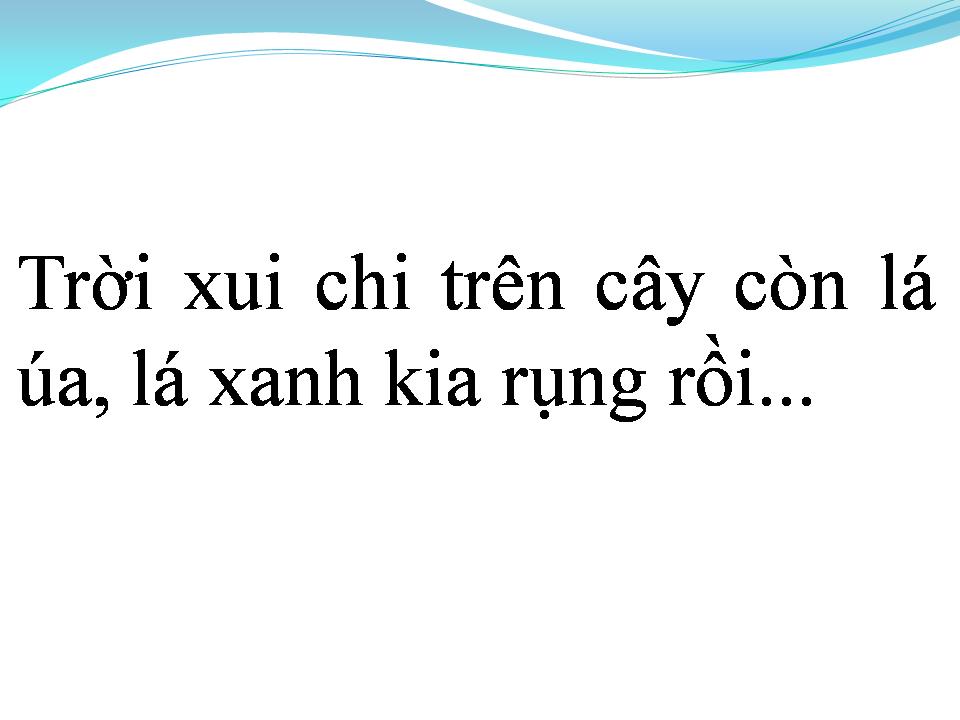 Lời bài hát ĐỒI THÔNG HAI MỘ