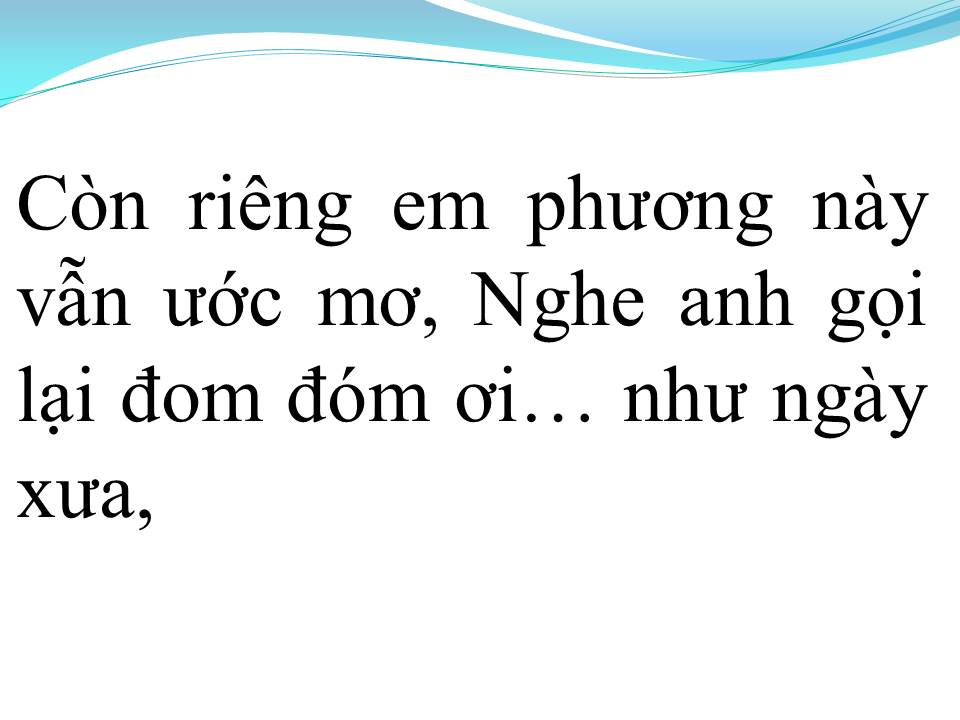Lời bài hát ĐOM ĐÓM