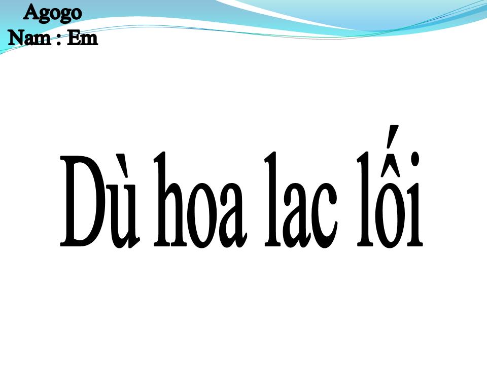 Lời bài hát DÙ HOA LẠC LỐI