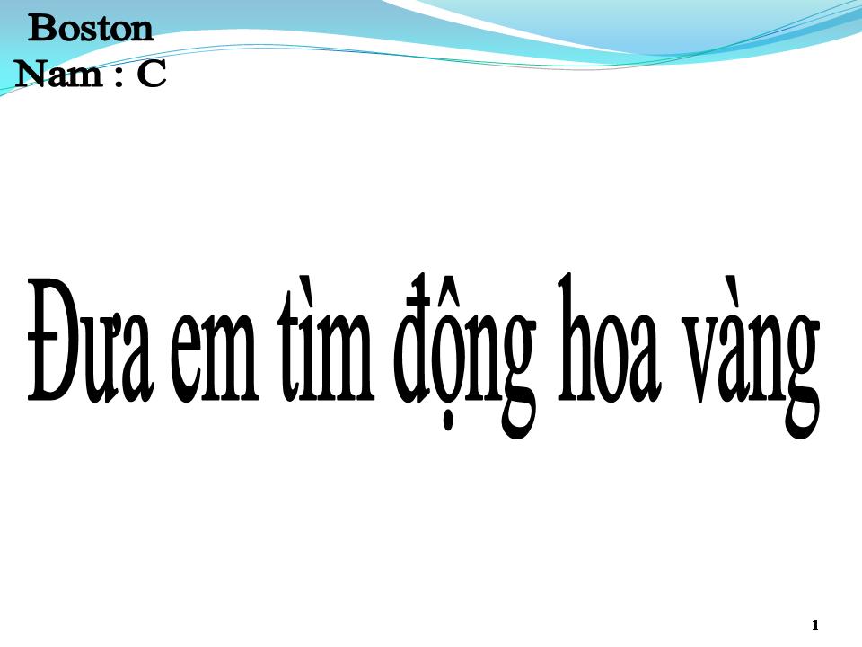 Lời bài hát ĐƯA EM TÌM ĐỘNG HOA VÀNG
