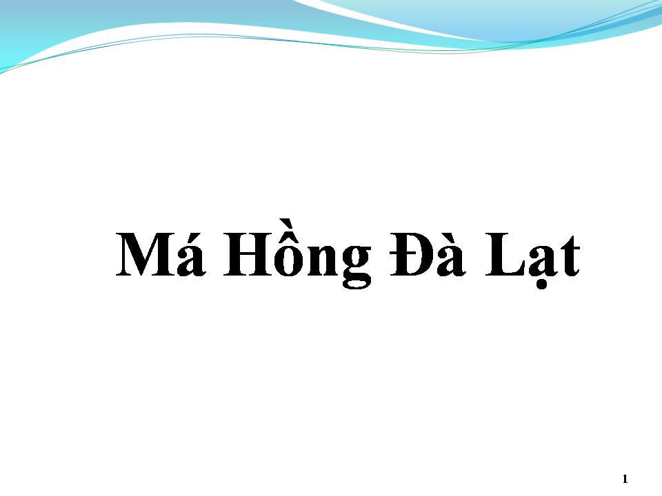 Lời bài hát MÁ HỒNG ĐÀ LẠT