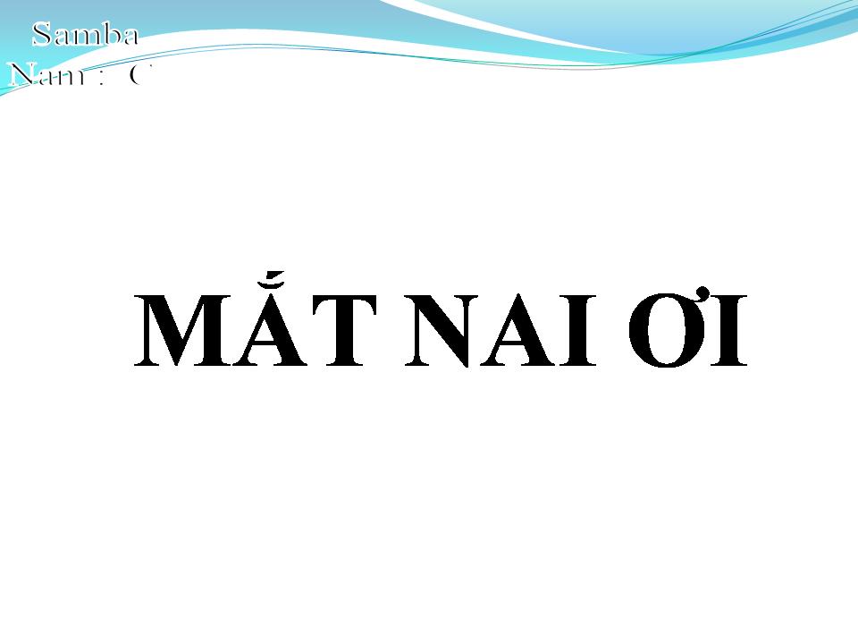 Lời bài hát MẮT NAI ƠI