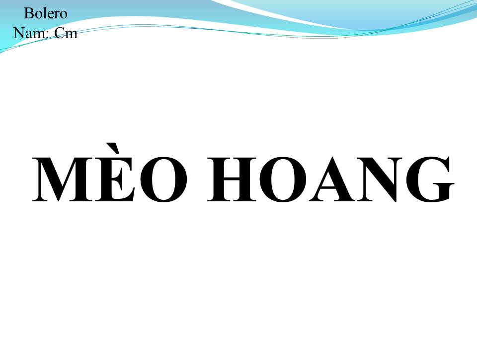 Lời bài hát MÈO HOANG