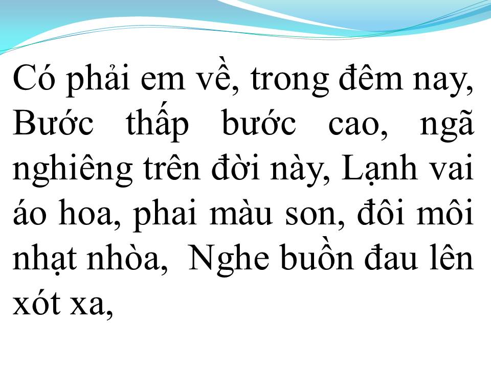Lời bài hát MÈO HOANG