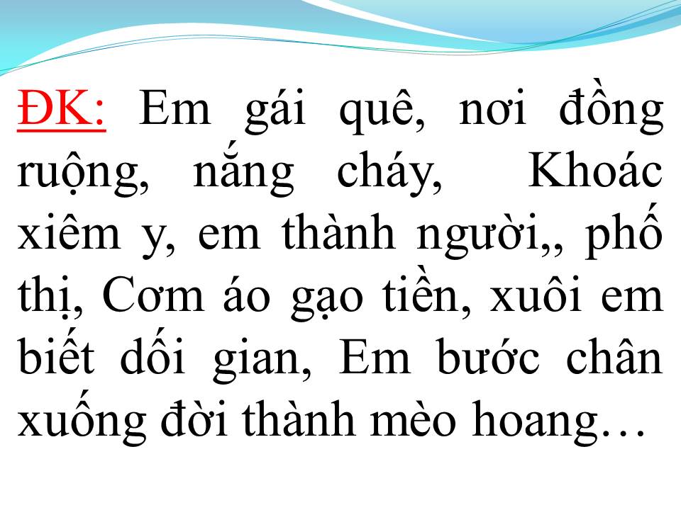 Lời bài hát MÈO HOANG