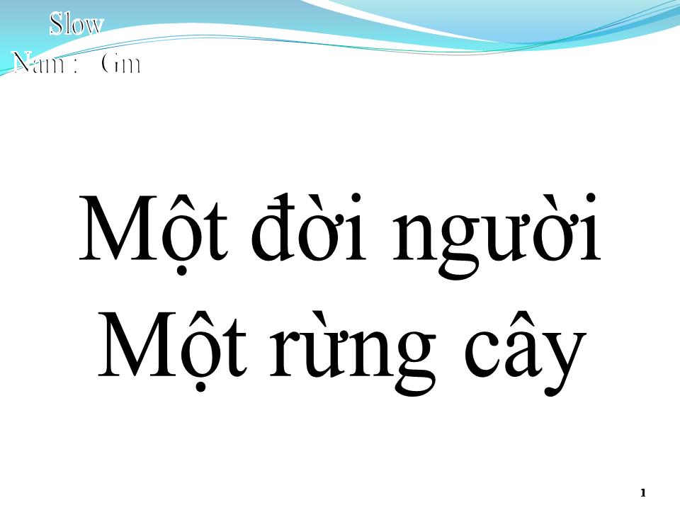 Lời bài hát MỘT ĐỜI NGƯỜI MỘT RỪNG CÂY