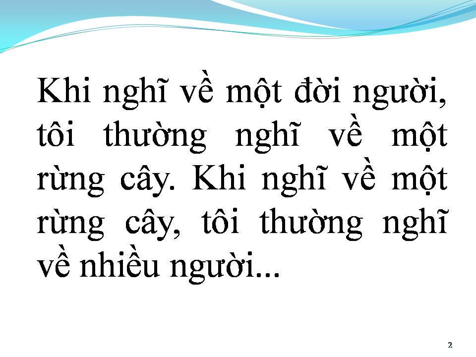 Lời bài hát MỘT ĐỜI NGƯỜI MỘT RỪNG CÂY