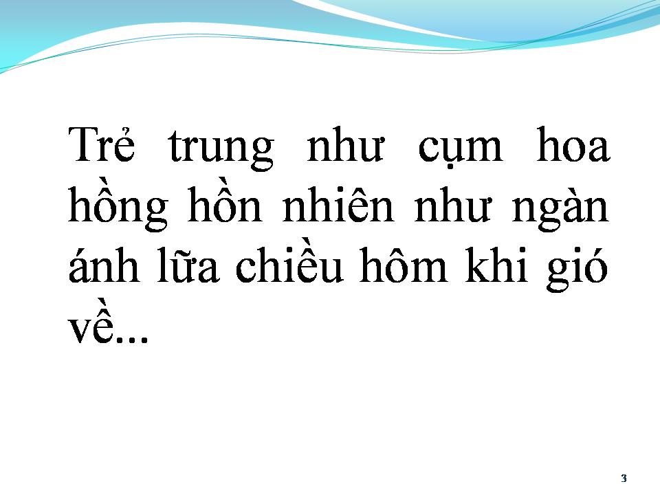 Lời bài hát MỘT ĐỜI NGƯỜI MỘT RỪNG CÂY