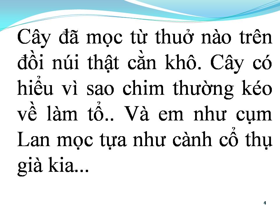 Lời bài hát MỘT ĐỜI NGƯỜI MỘT RỪNG CÂY