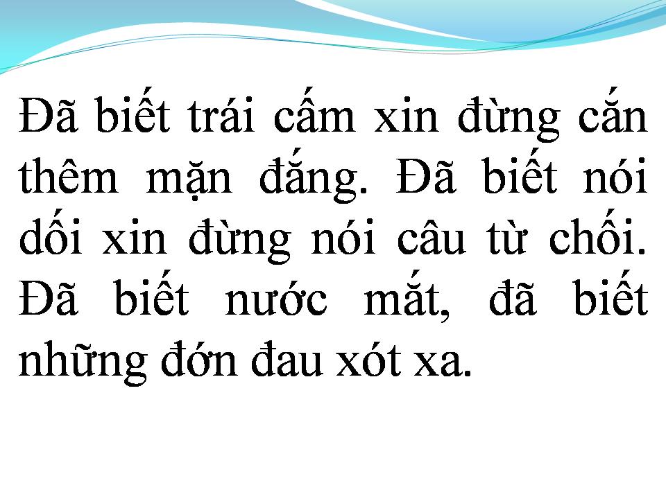 Lời bài hát MỘT LẦN LỠ YÊU