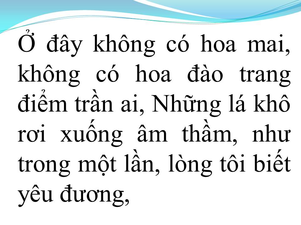 Lời bài hát MÙA XUÂN LÁ KHÔ