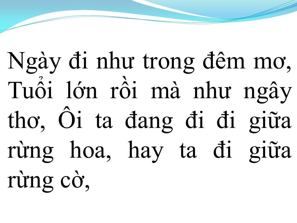 Lời bài hát MÙA XUÂN TRÊN TP HCM