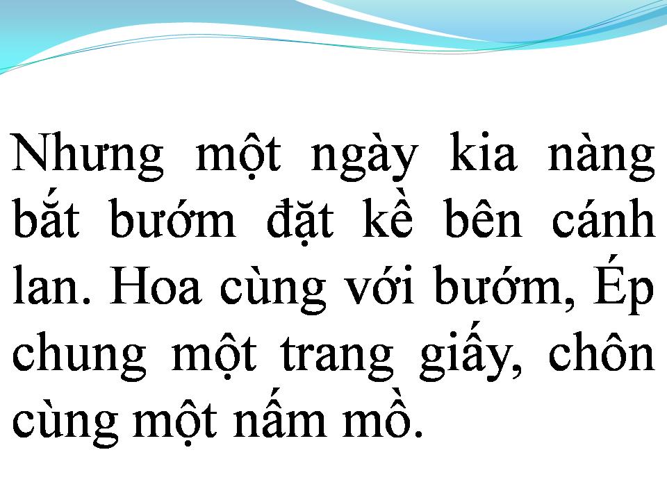 Lời bài hát CHUYỆN TÌNH LAN VÀ ĐIỆP 2