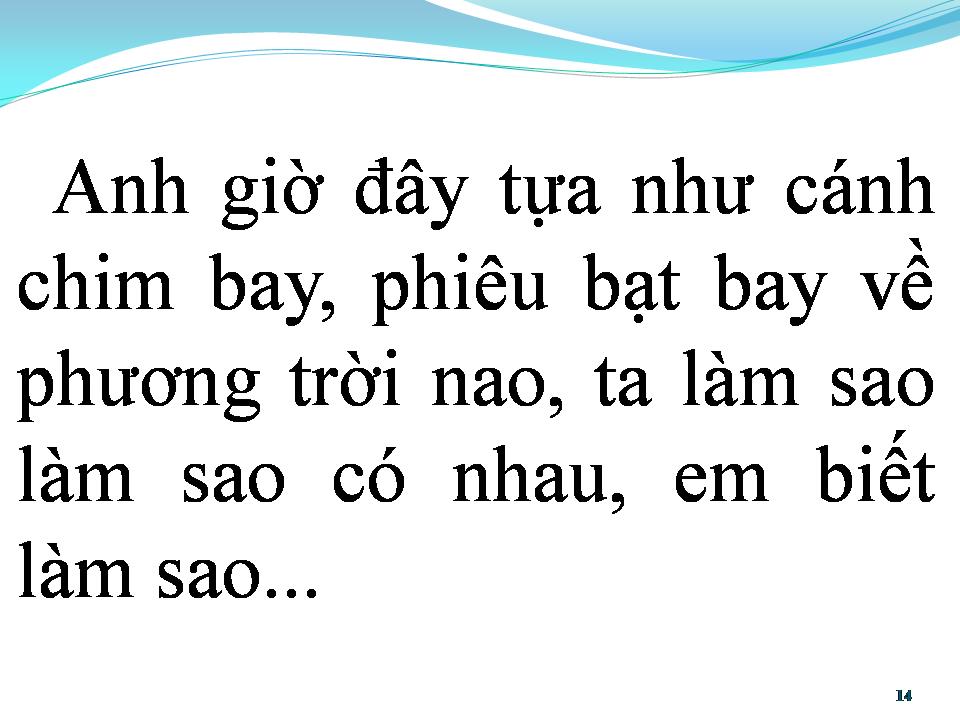 Lời bài hát LANG THANG