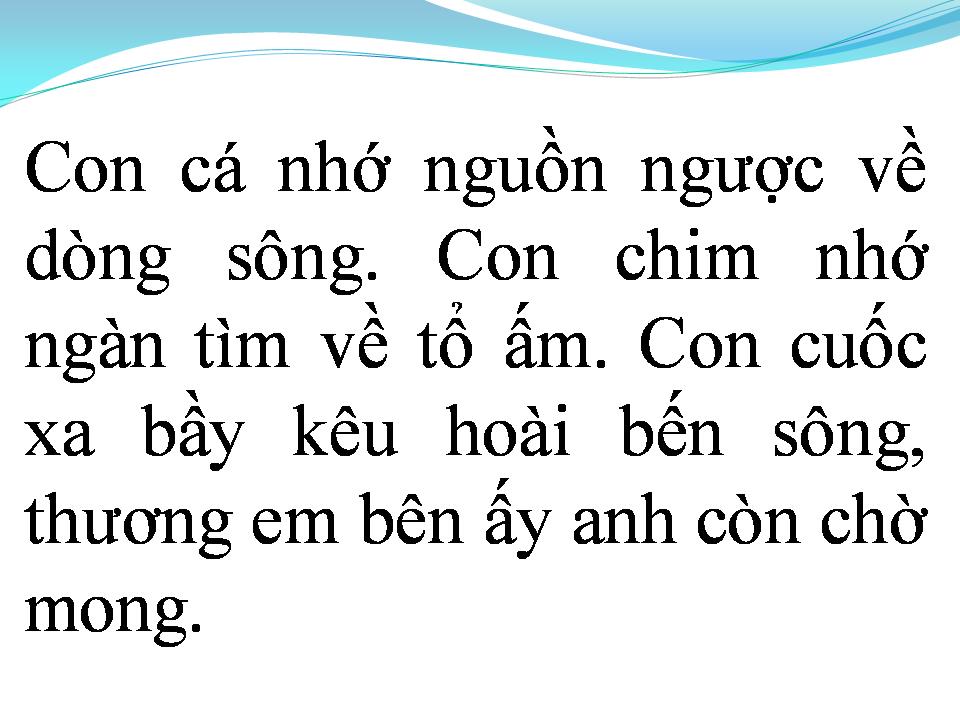 Lời bài hát LỠ HẸN