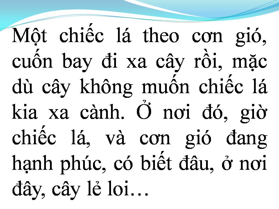 Lời bài hát LỖI LẦM CÂY LÁ VÀ GIÓ