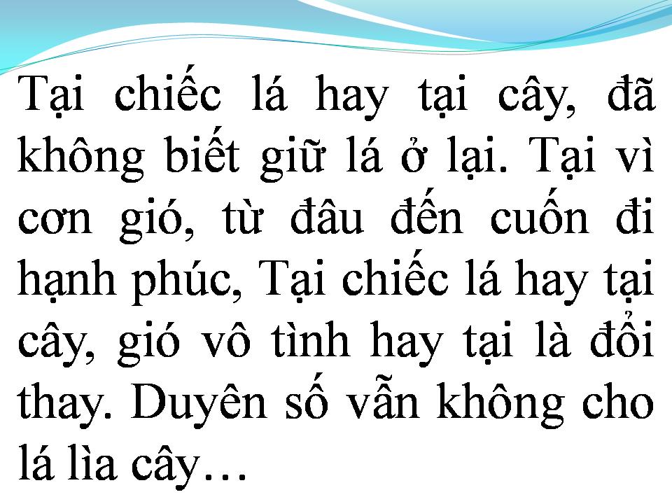 Lời bài hát LỖI LẦM CÂY LÁ VÀ GIÓ
