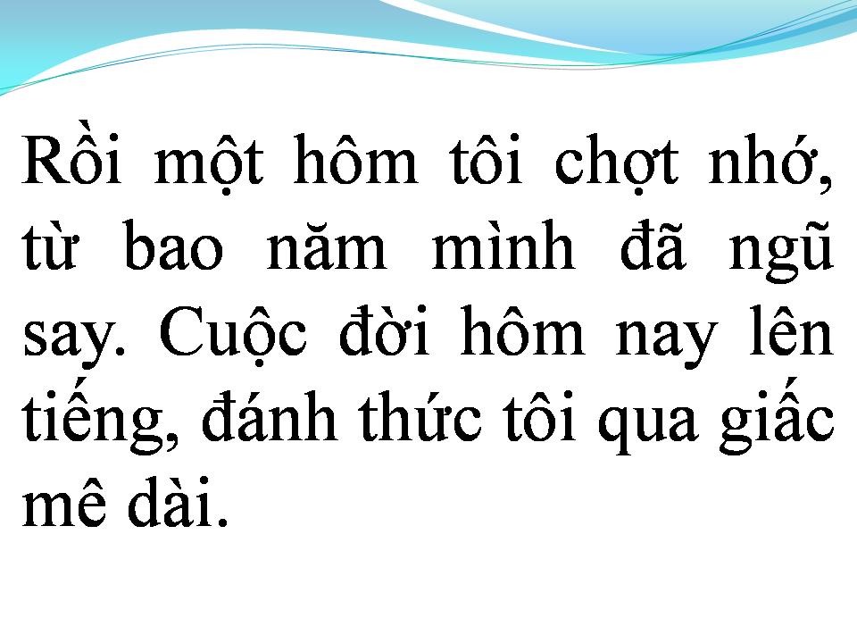 Lời bài hát LỜI TRÁI TIM MUỐN NÓI