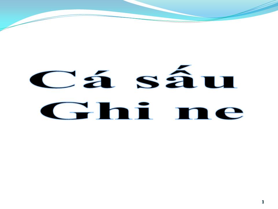 Lời bài hát CÁ SẤU GHENA